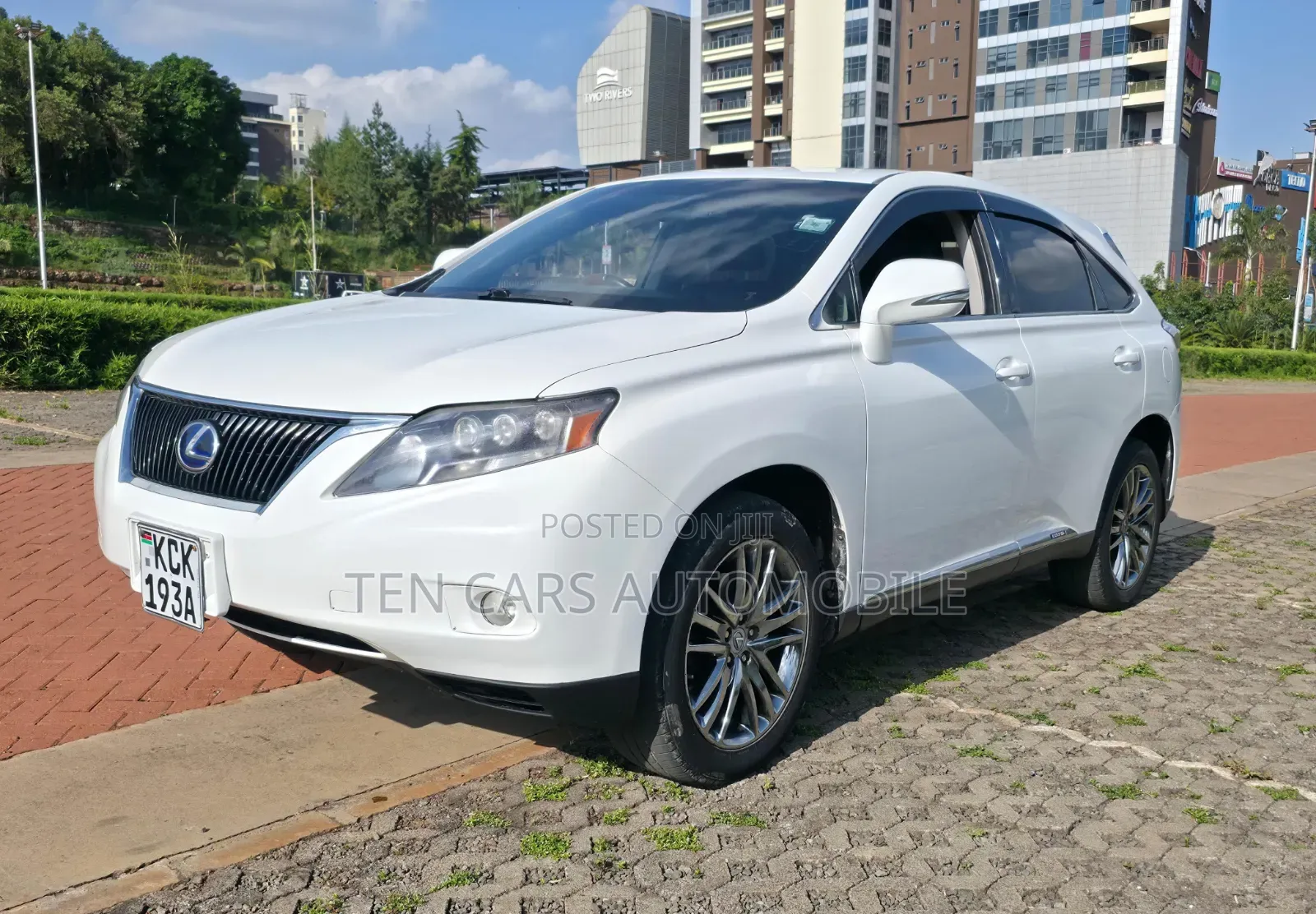 Lexus RX 2010 White