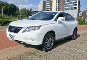 Lexus RX 2010 White