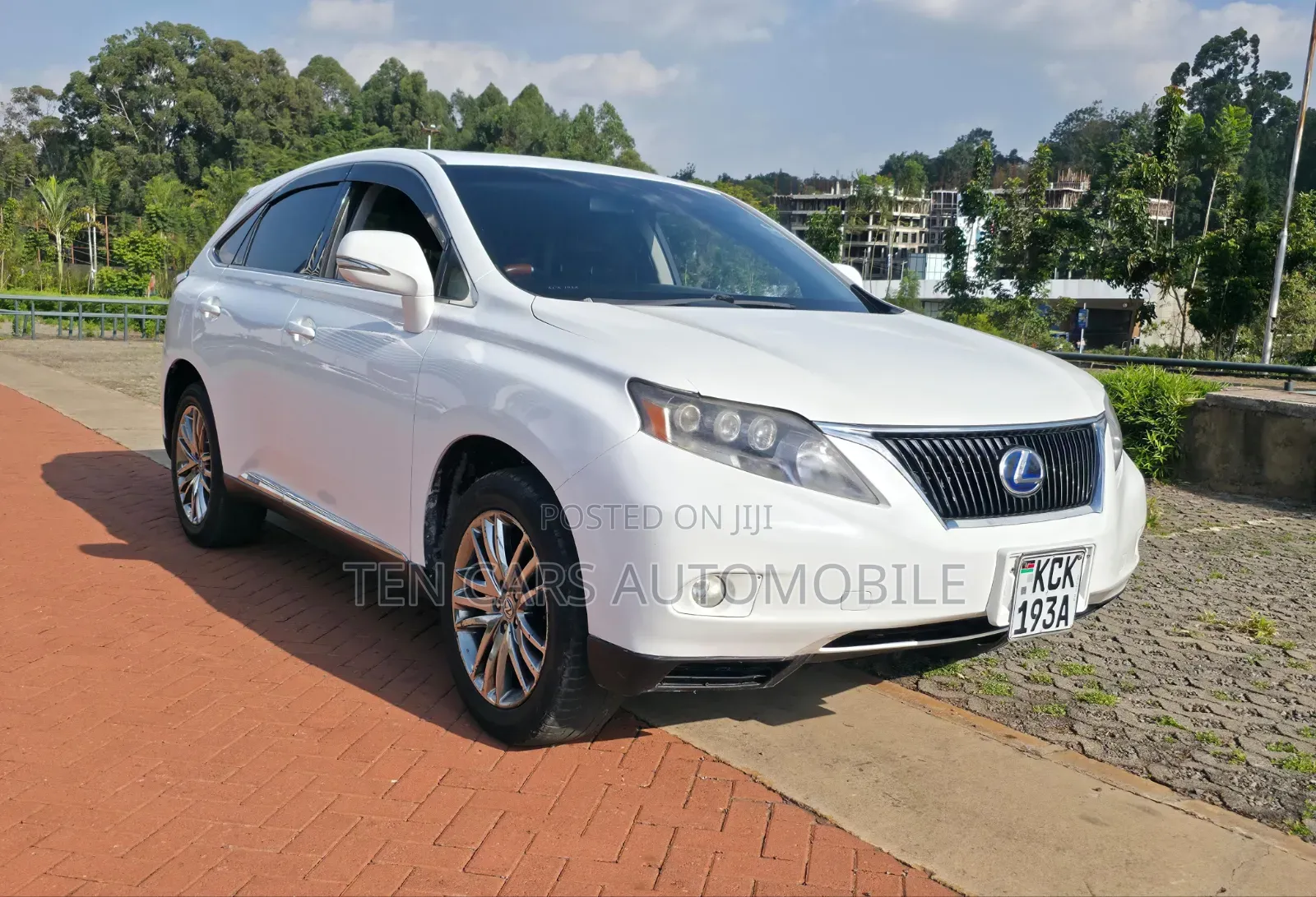 Lexus RX 2010 White