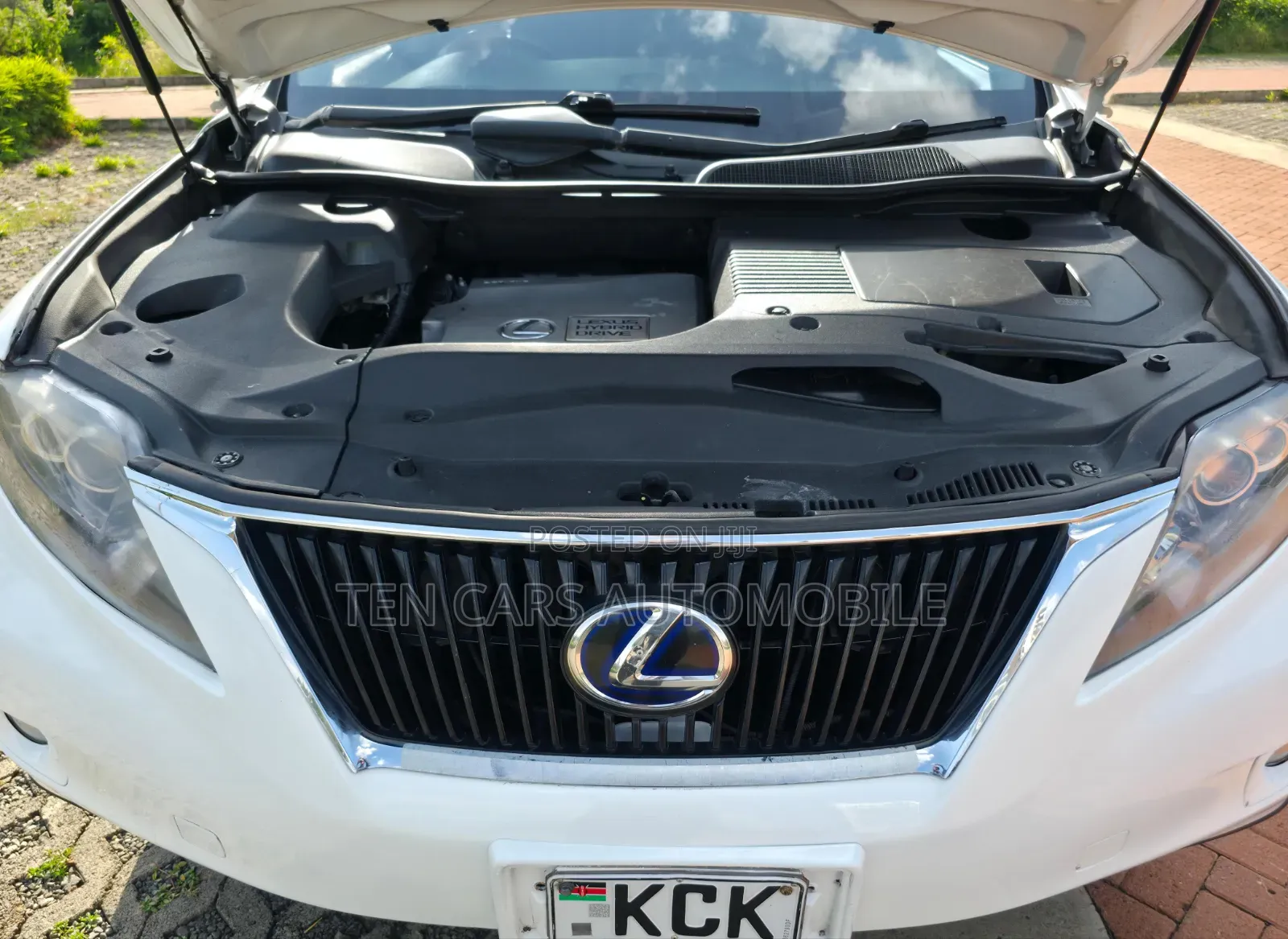 Lexus RX 2010 White