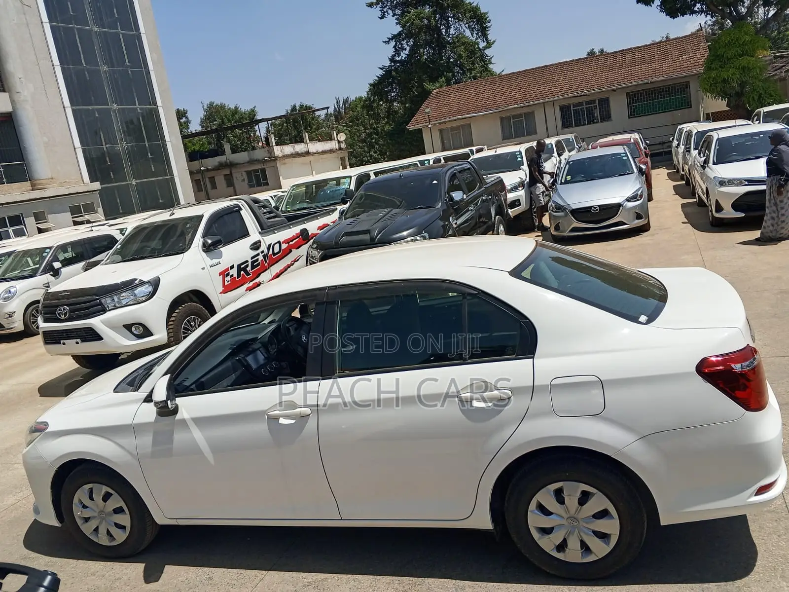 Toyota Axio 2019 White
