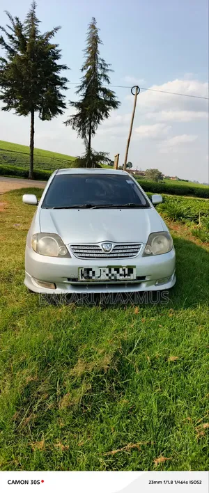 Toyota Allex 2002 Silver