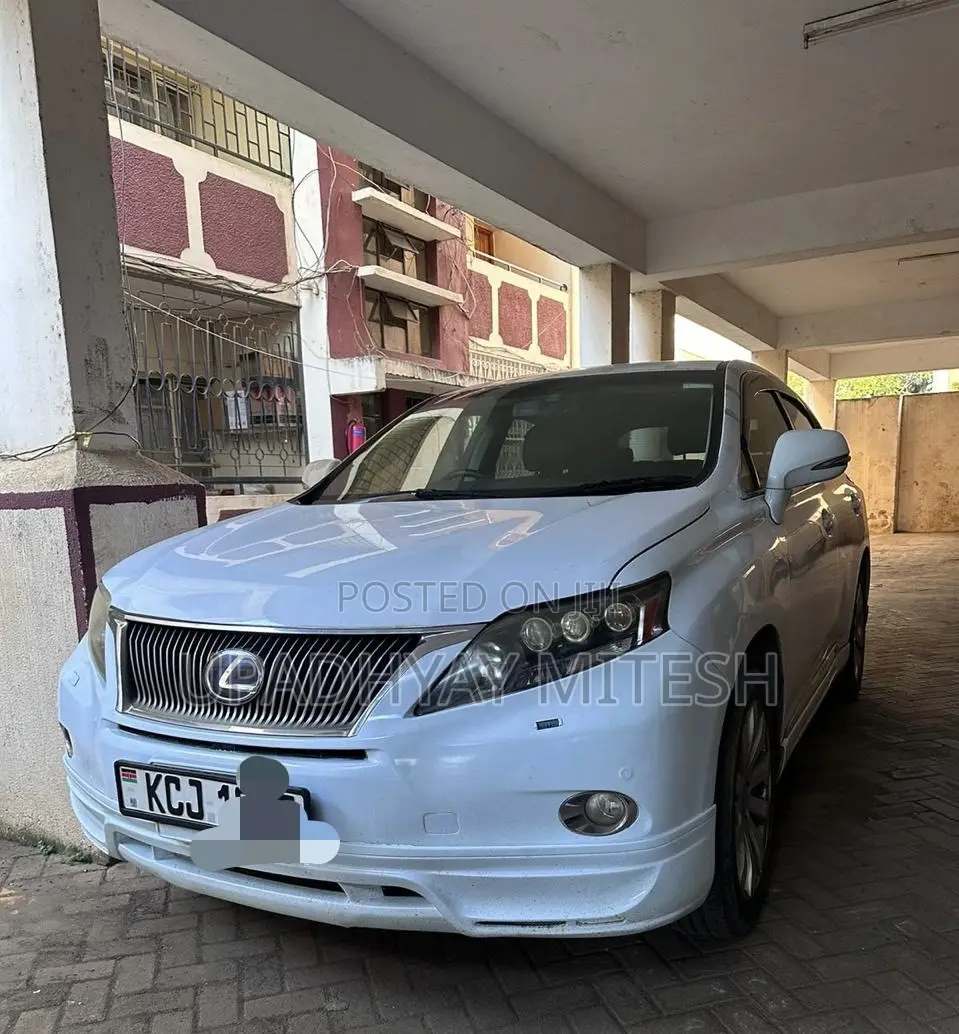 Lexus RX 2010 White
