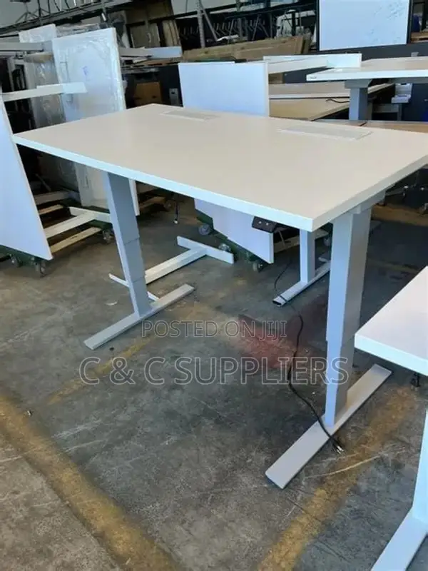 Sit Stand Office Electric Desk.