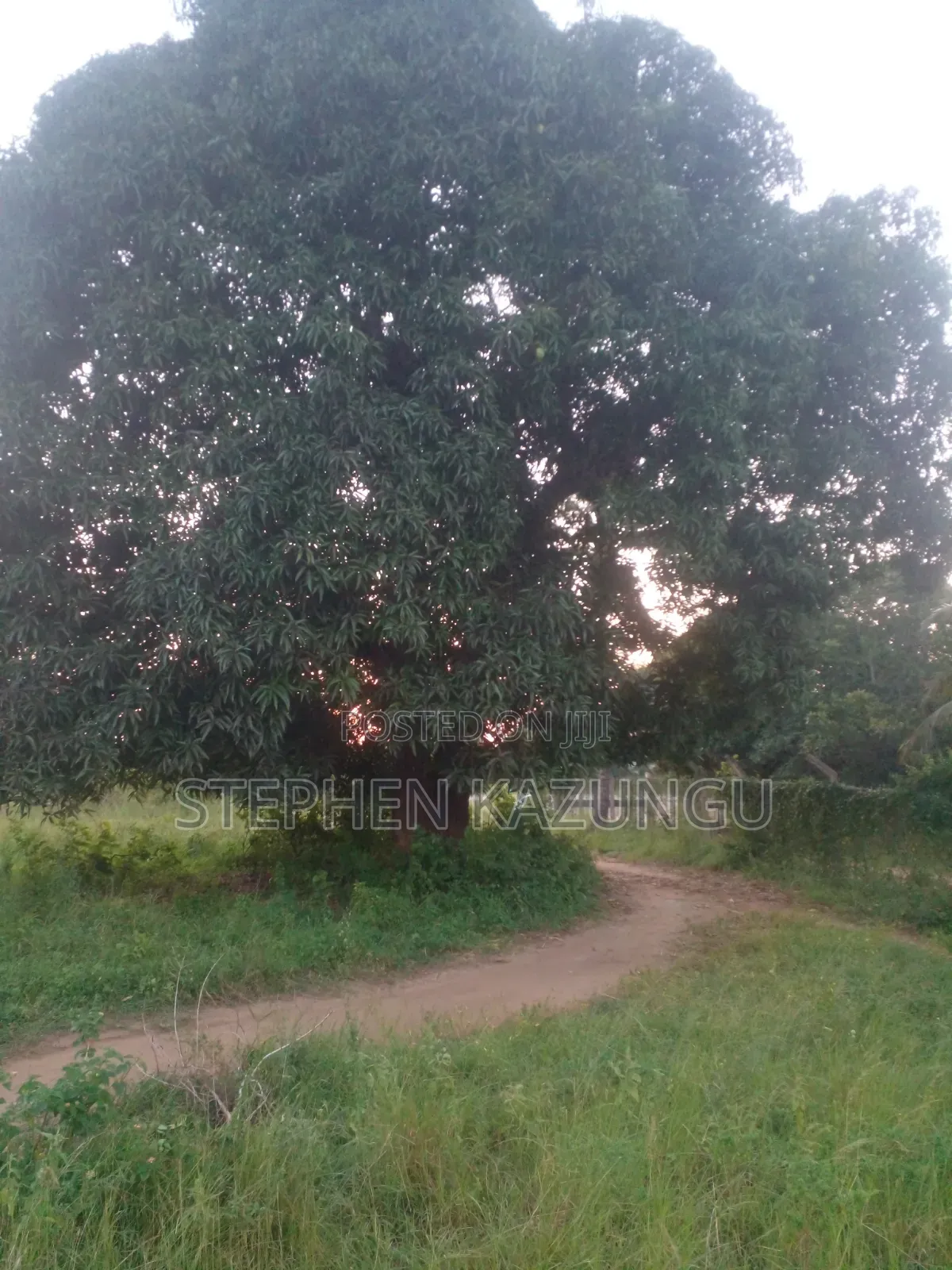 Slightly Big Than 1/2 Acre at Kinondo/Ganja La Simba on the Highway.