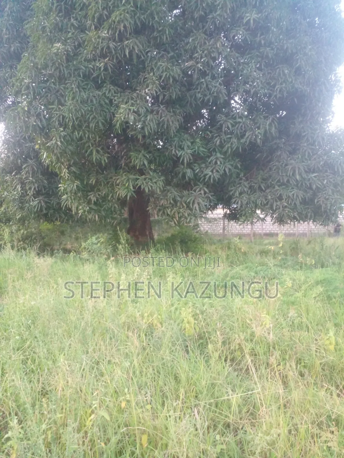 Slightly Big Than 1/2 Acre at Kinondo/Ganja La Simba on the Highway.