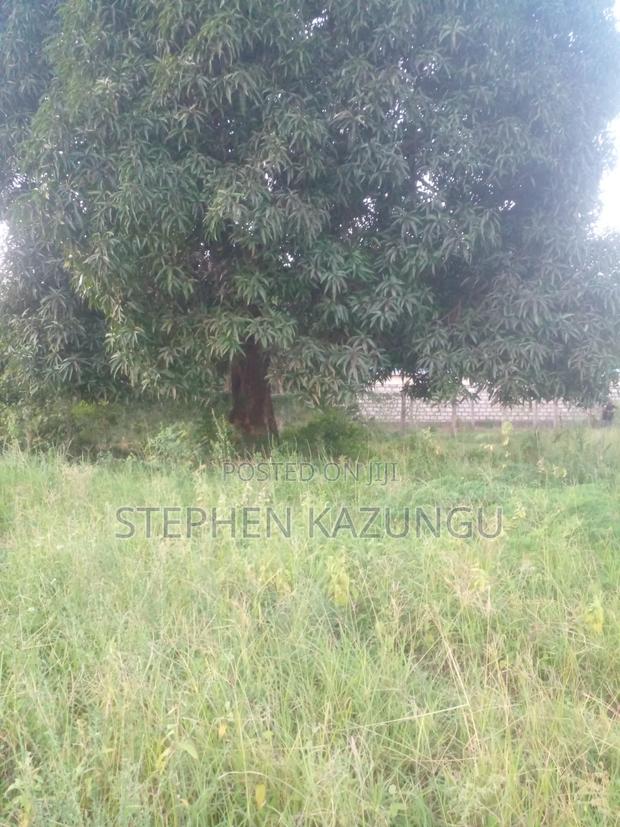 Slightly Big Than 1/2acre Plot at Kinondo/Ganja La Simba on the Highway - thumbnail 6