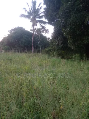 Slightly Big Than 1/2 Acre at Kinondo/Ganja La Simba on the Highway.