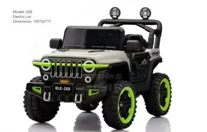 Electric Car Model:268/Electric Car Model:268