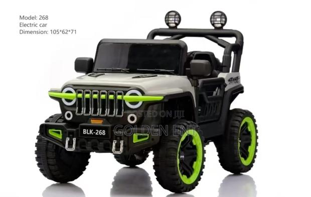 Electric Car Model:268/Electric Car Model:268