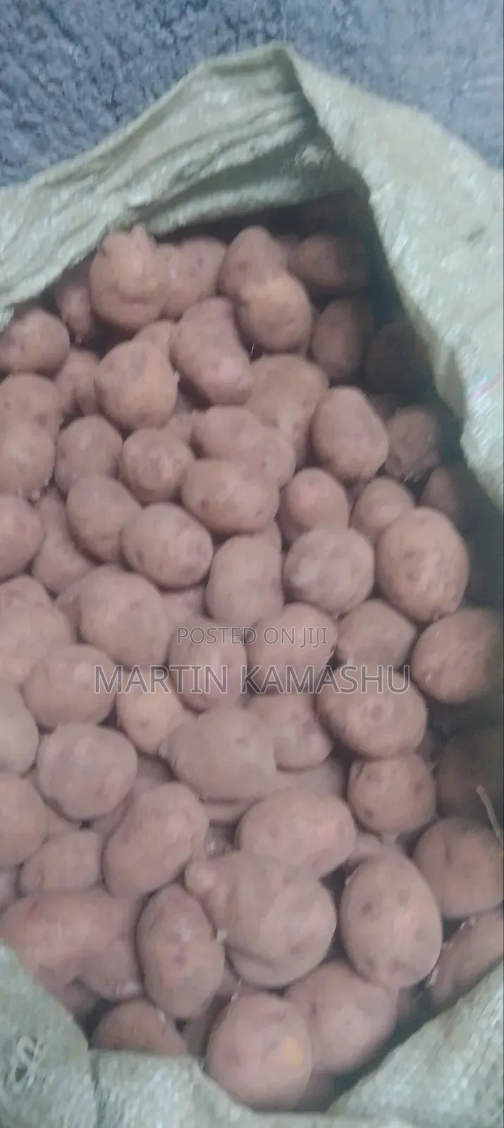 Potatoes Seeds for Sale