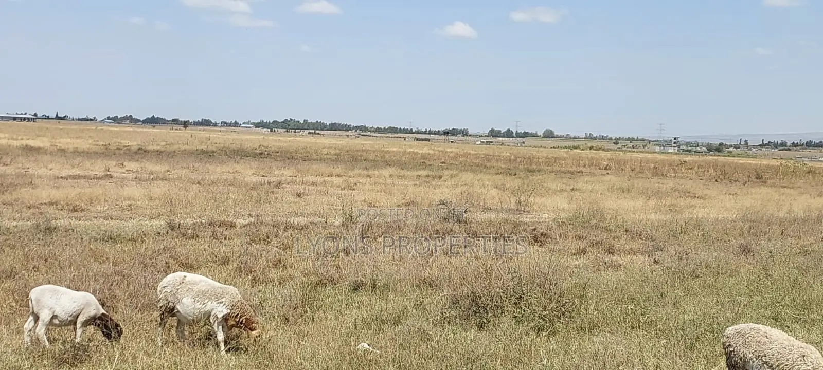 50 Acre Land for Sale in Kisaju