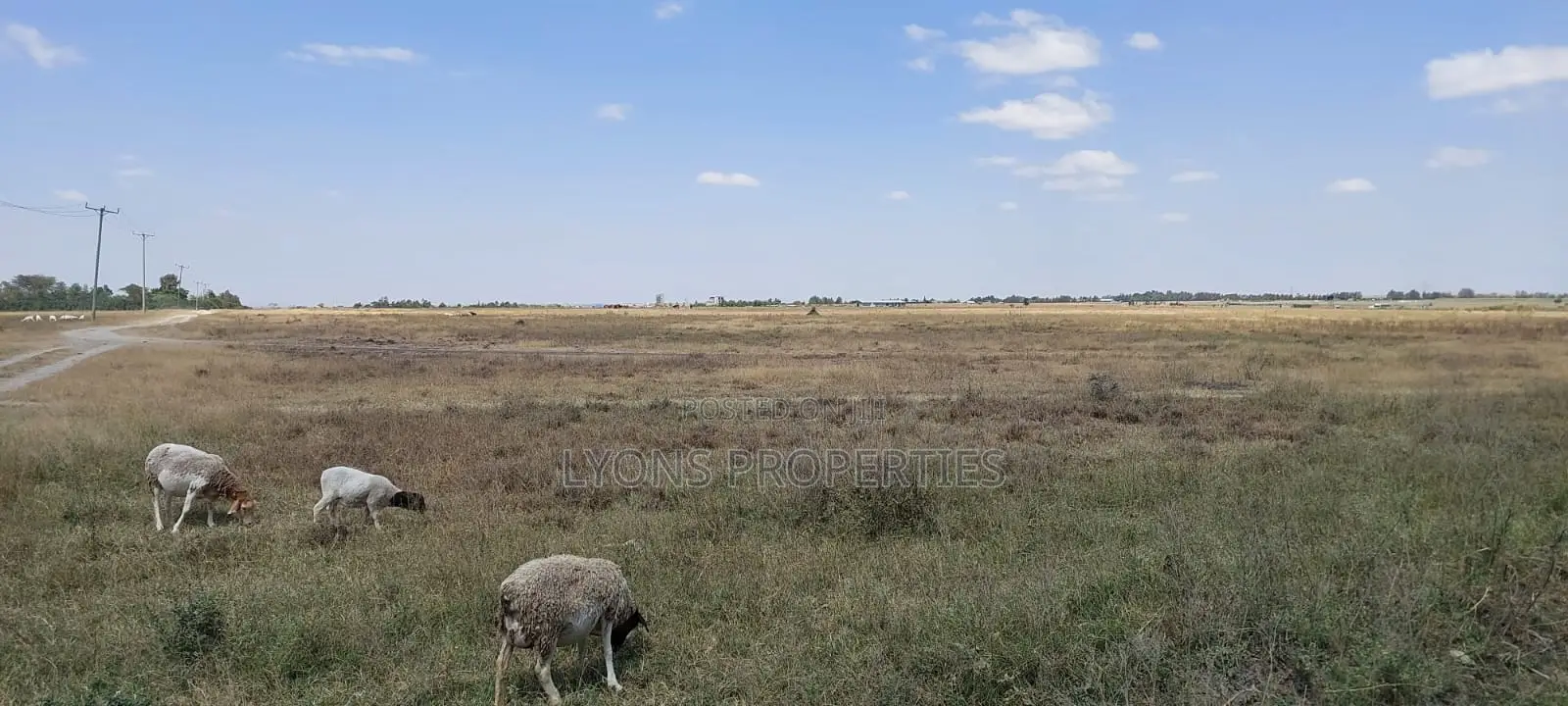 50 Acre Land for Sale in Kisaju