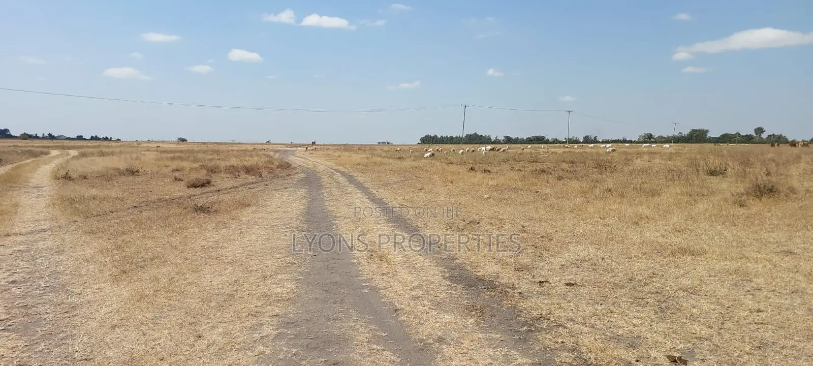 50 Acre Land for Sale in Kisaju