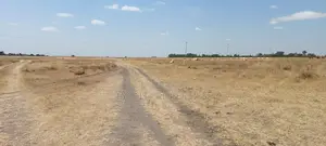 50 Acre Land for Sale in Kisaju