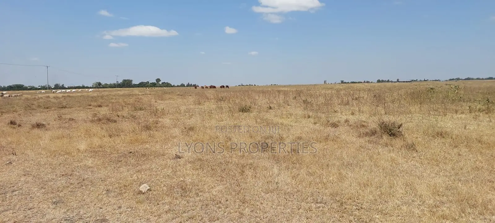 50 Acre Land for Sale in Kisaju