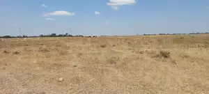 50 Acre Land for Sale in Kisaju