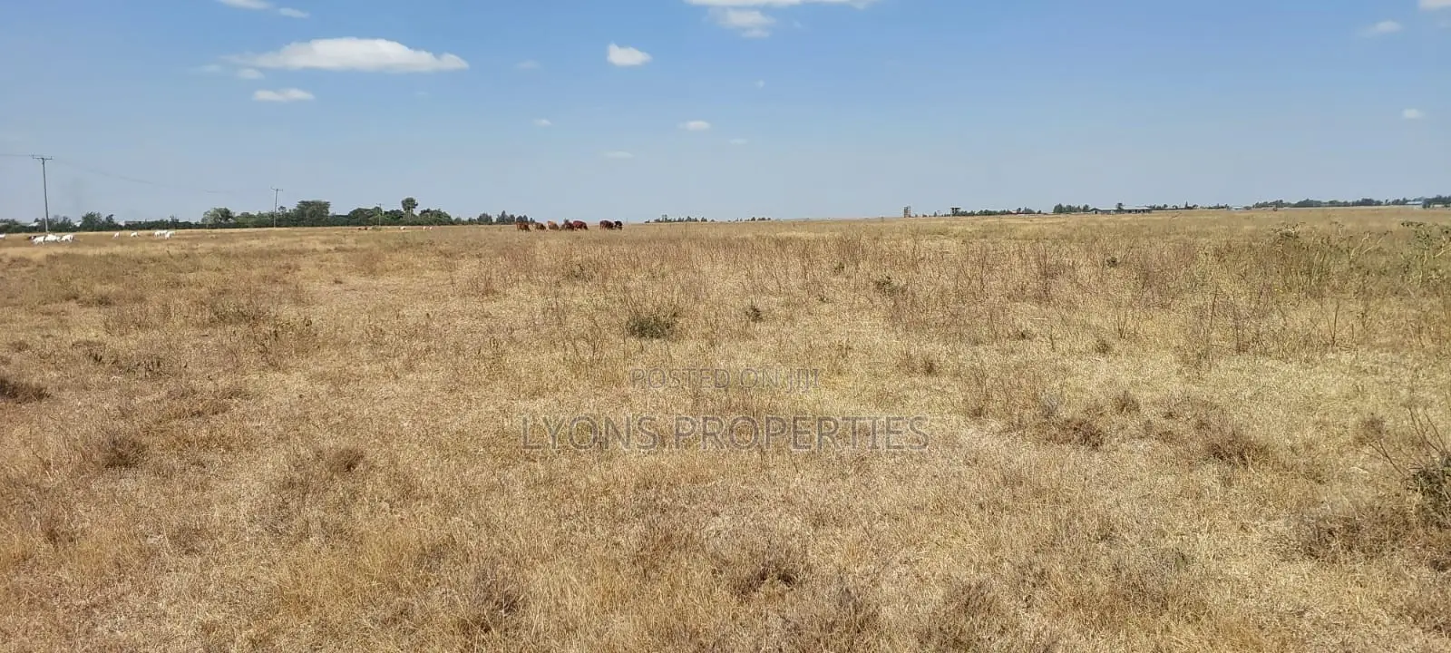50 Acre Land for Sale in Kisaju