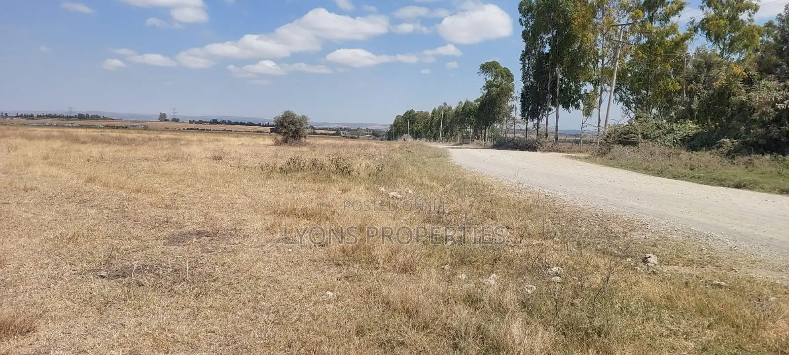 50 Acre Land for Sale in Kisaju