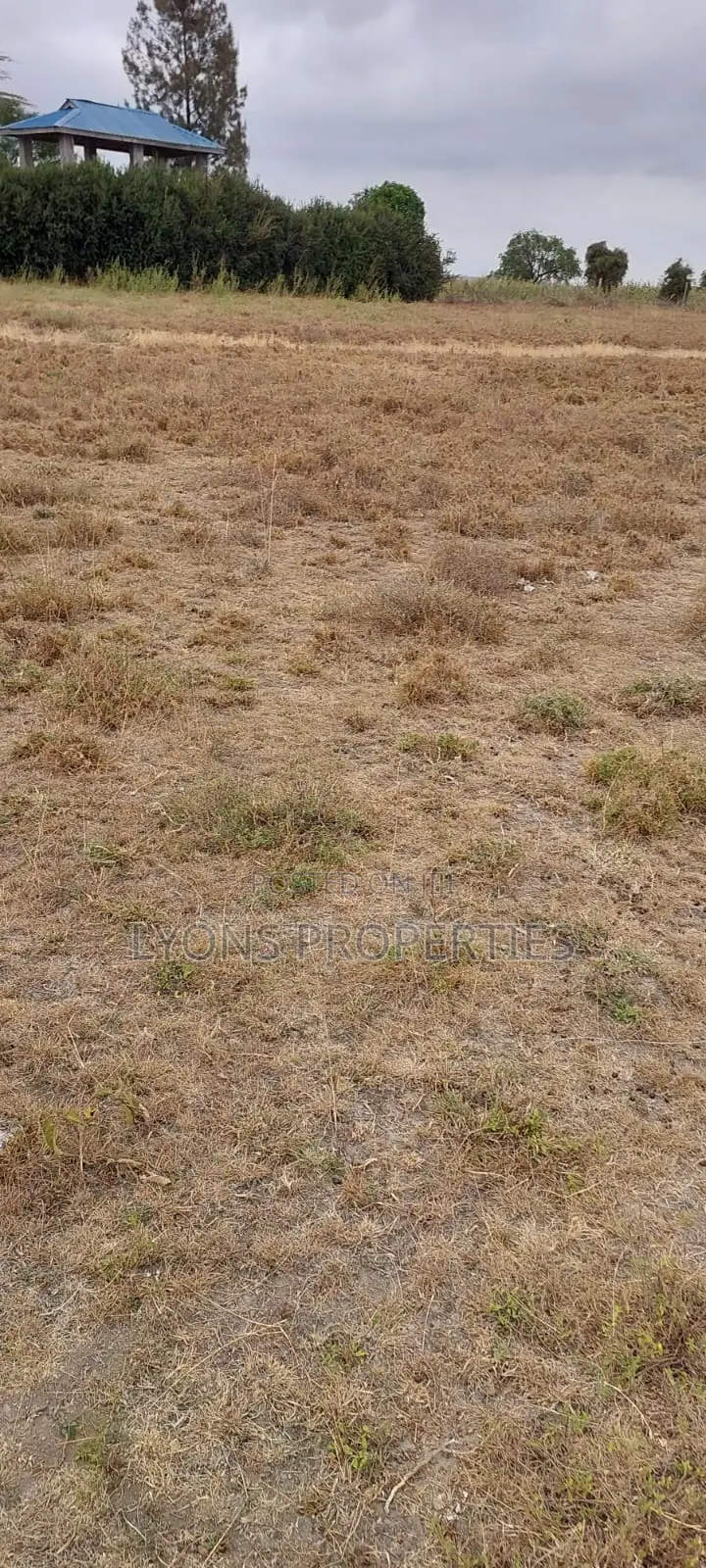 50 Acre Land for Sale in Kisaju