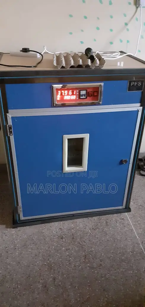 Egg Incubator
