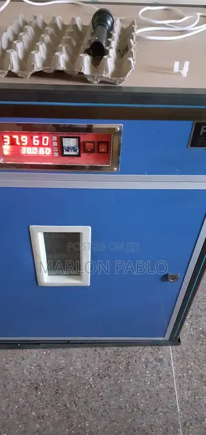 Egg Incubator