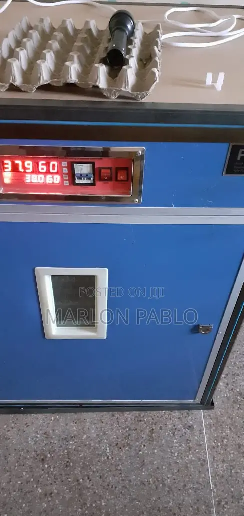 Egg Incubator