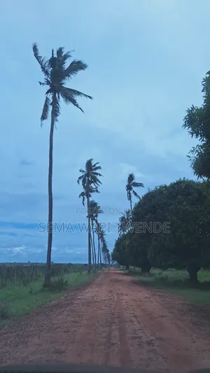 Wasini Island Trip
