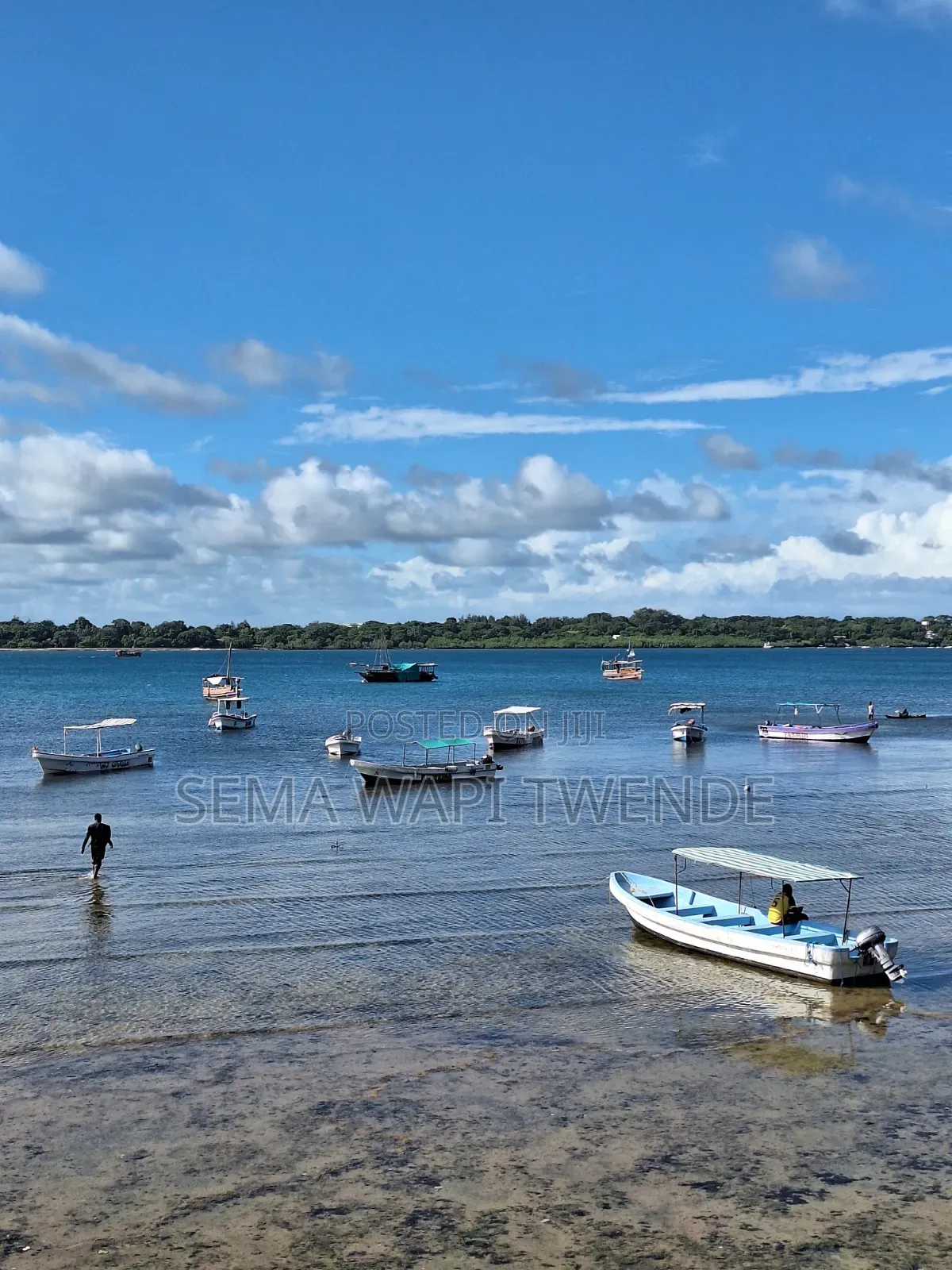 Wasini Island Trip