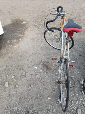 Bicycale Sporting Bike