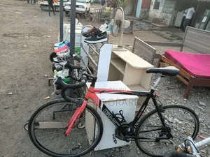 Bicycale Sporting Bike