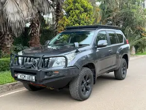 Toyota Land Cruiser Prado 4.0 i 2010 Gray