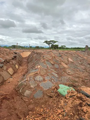 Prime 16-Acre Income-Generating Farm in Taveta - Borehole Dam