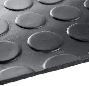 Black Rubber Material Coin Carpet