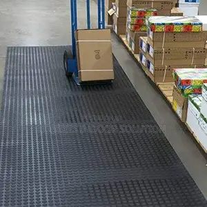 Black Rubber Material Coin Carpet