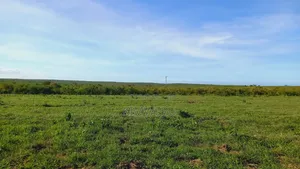 Farming Land in Magarini