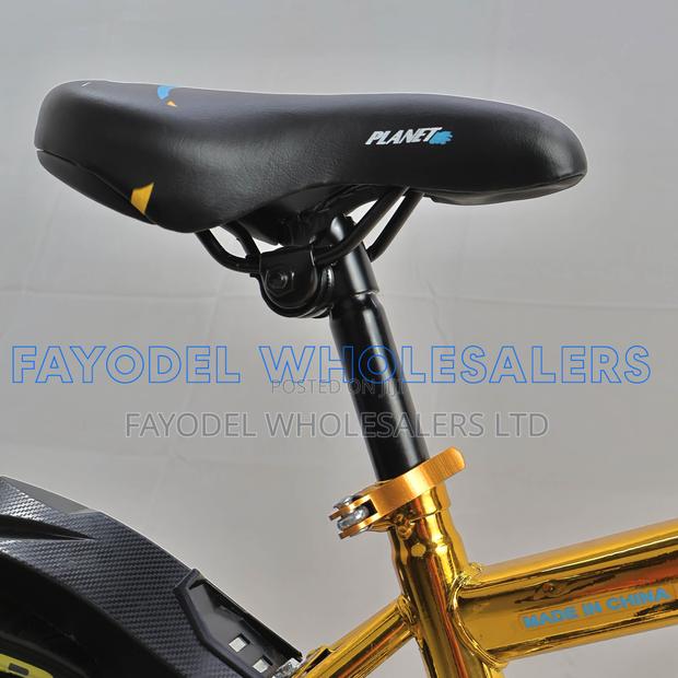 Planet Junior Bicycle Size 16 – Stylish Gold Finish