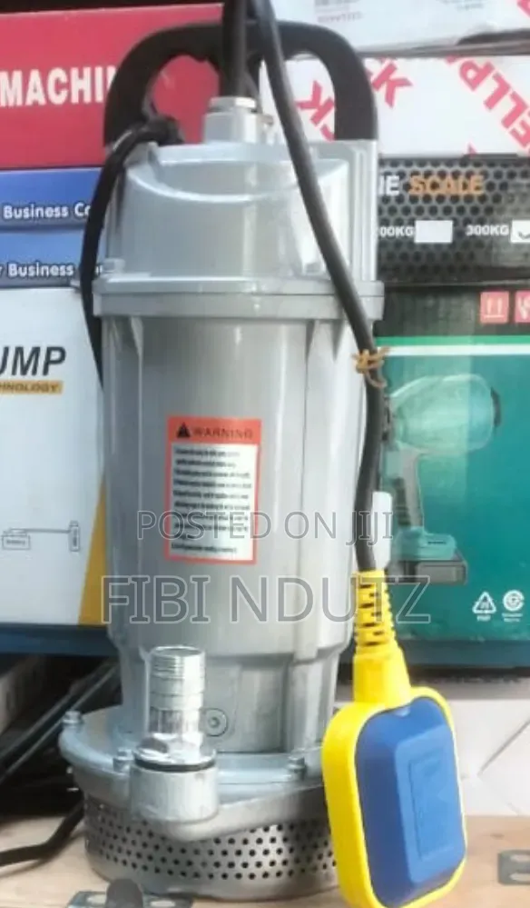 QDX 1hp Shallow End Submersible Pump