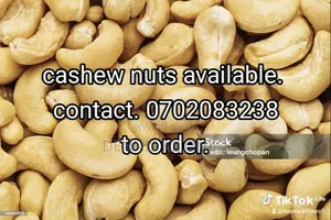 Dennoh Spices and All Nuts and Seeds