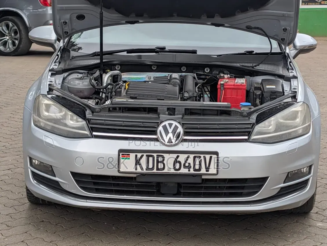 Volkswagen Golf 2014 Silver
