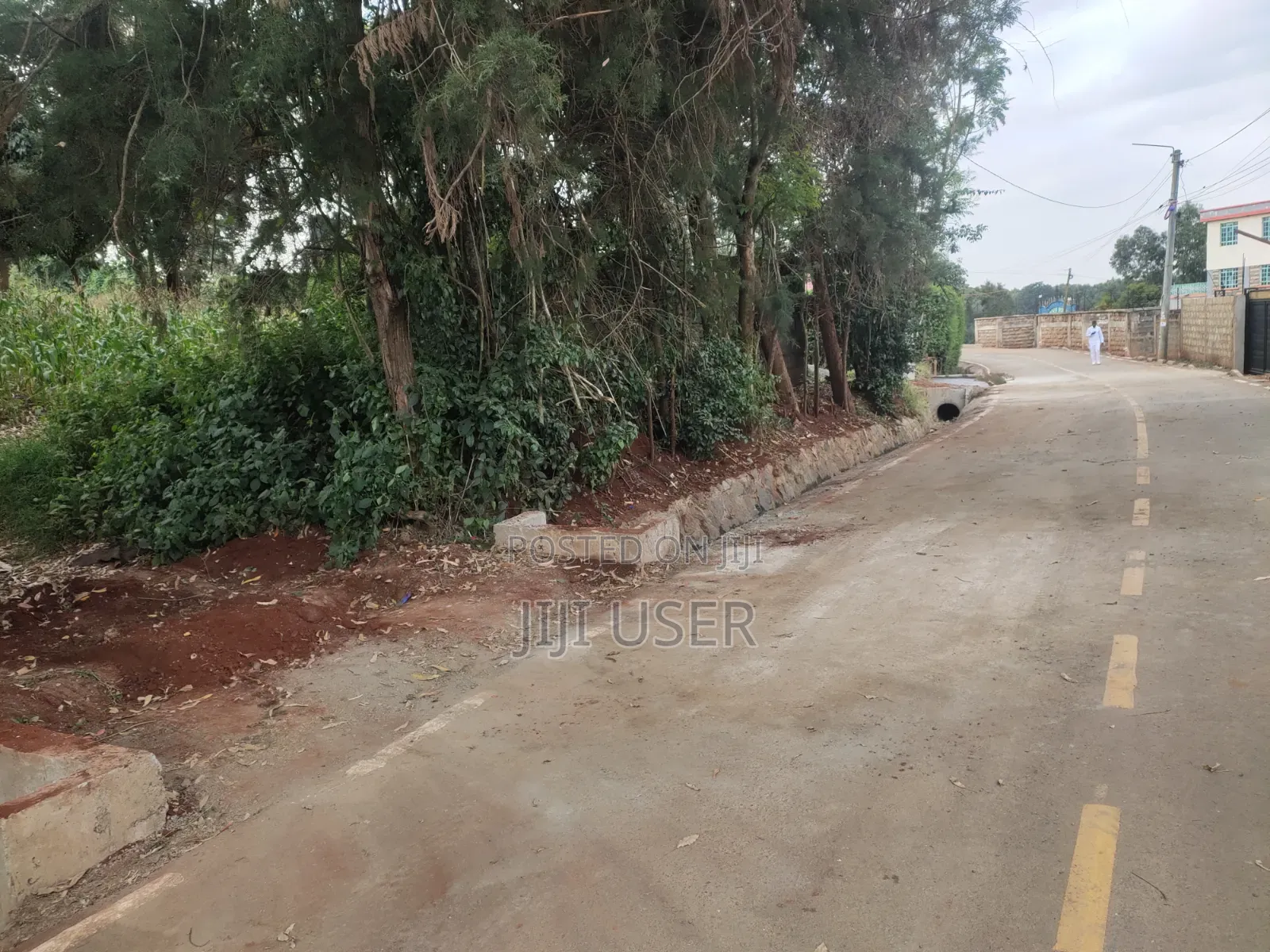 1/4 Acre Plot on Sale