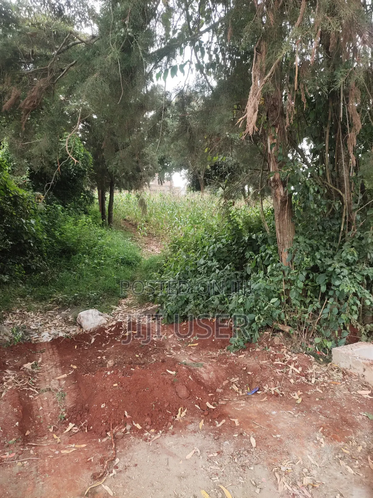 1/4 Acre Plot on Sale