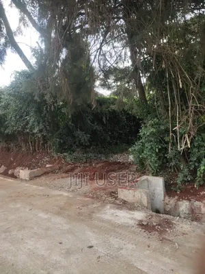 1/4 Acre Plot on Sale