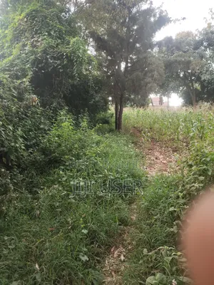 1/4 Acre Plot on Sale