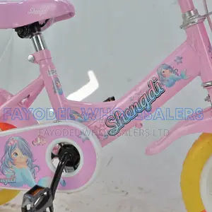 Pink Shengdi Kids Bicycle – Training Wheels Basket