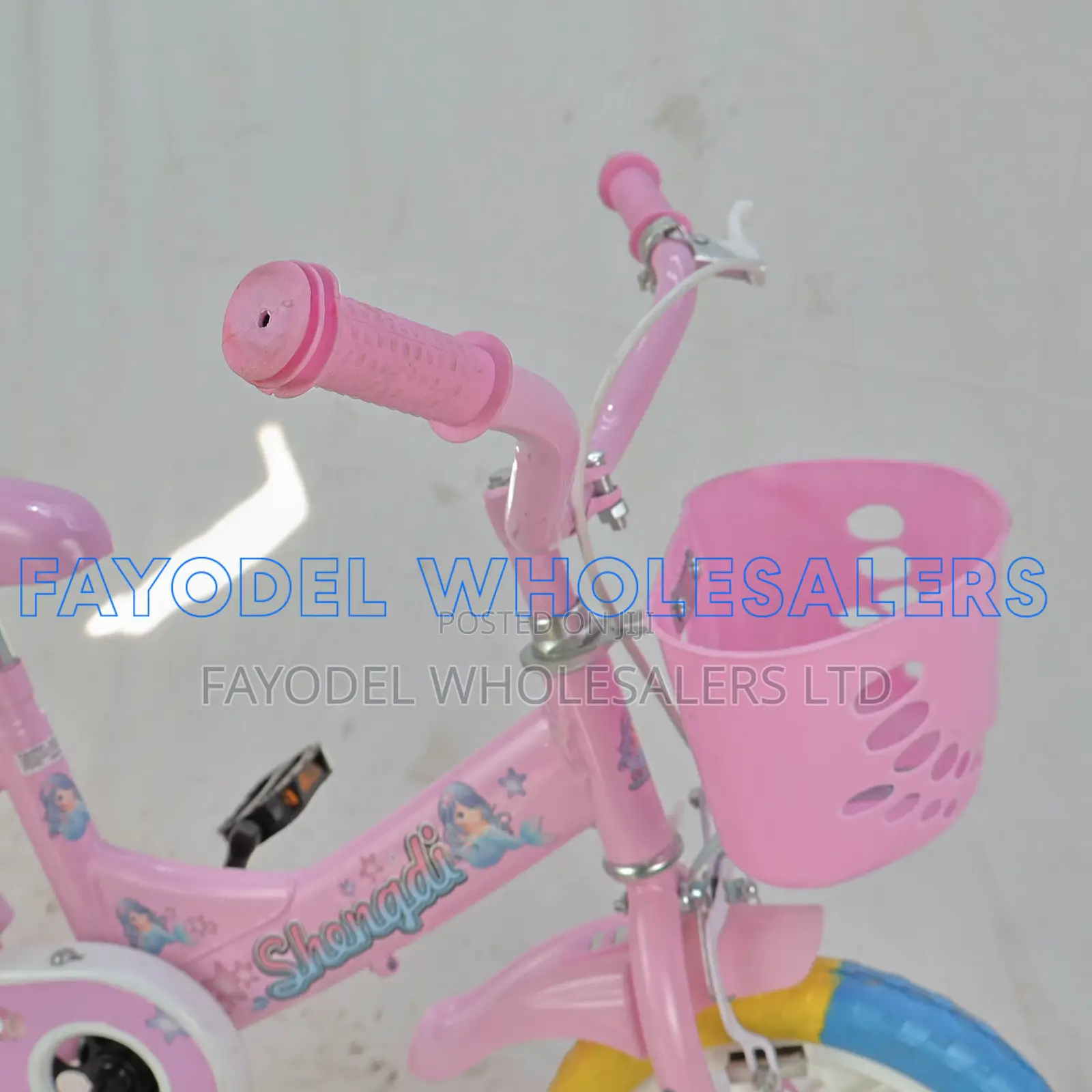 Shengdi Girls Bike Size 12