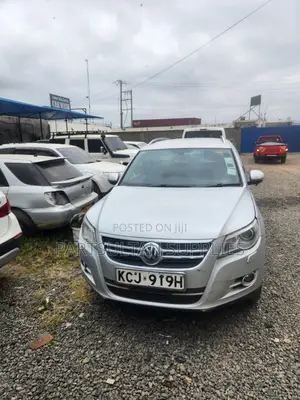 Volkswagen Tiguan 2009 Silver