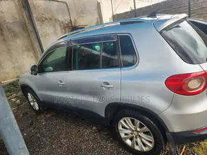 Volkswagen Tiguan 2009 Silver