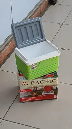Pacific 4.5 Litres Ice Box for Travel Outdoor Use, Medics Etc