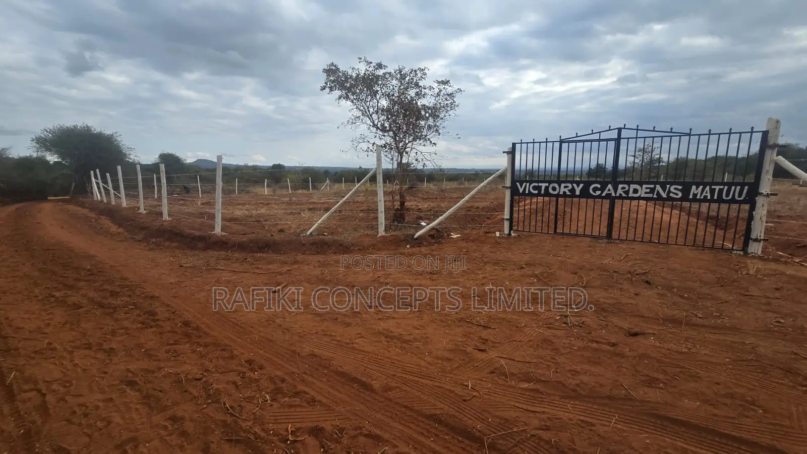 Victory Gardens Matuu